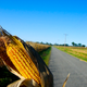 Illustration for article titled Biofuel Comparison Chart Highlights Hypocrisy